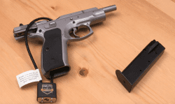 hand gun